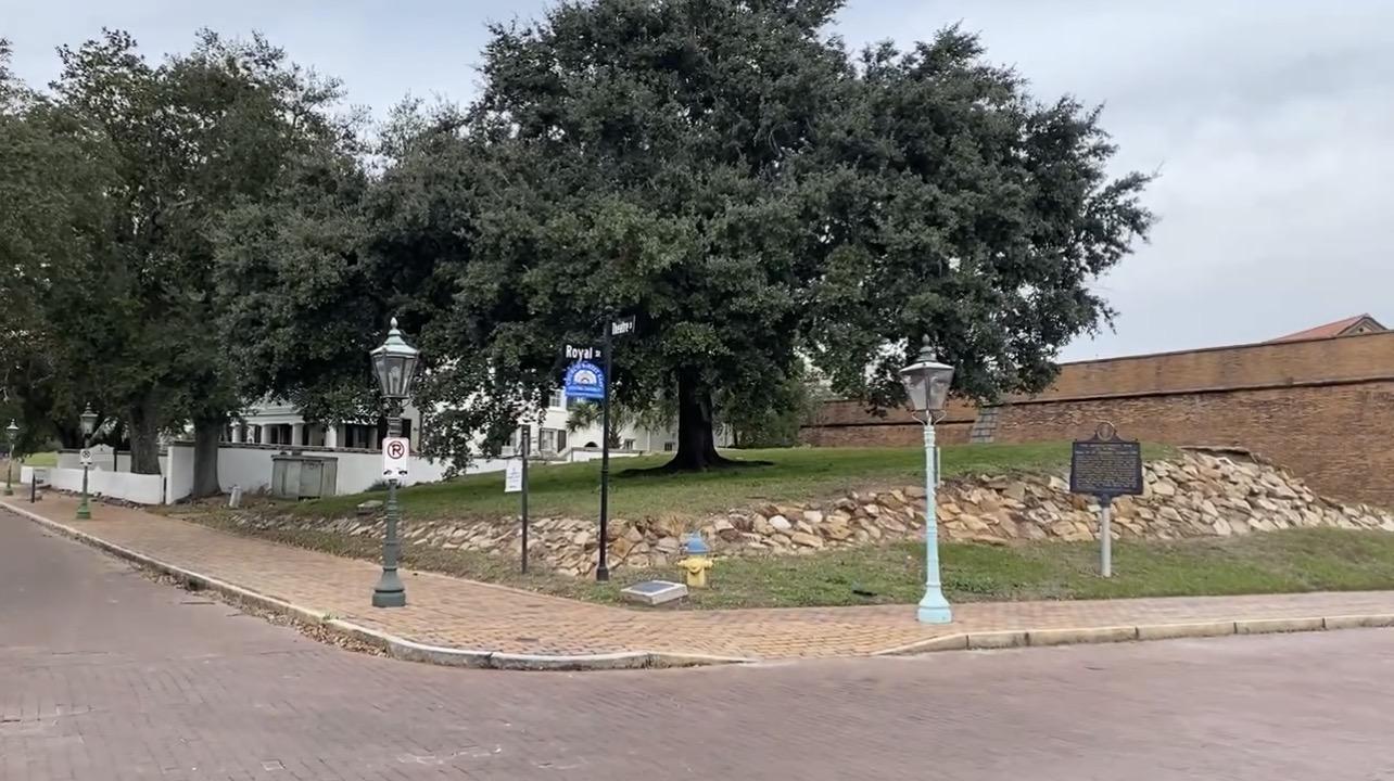 The original L'Arbre de Pau live oak near Fort Condé in downtown Mobile, Alabama
